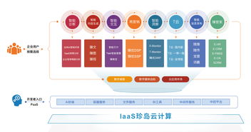 喜報 珍島榮膺2019上海軟件和信息技術(shù)服務業(yè)百強人工智能基礎軟件開發(fā)殊榮